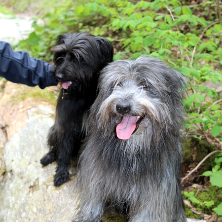 11 Im Mai im Allgäu